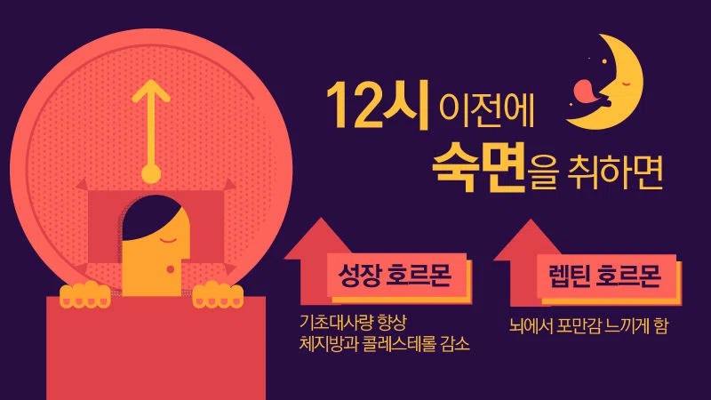 수면과 다이어트의 상관관계