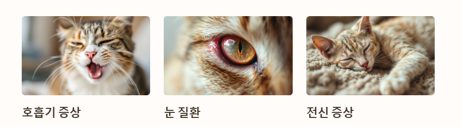 고양이 허피스 증상과 치료제