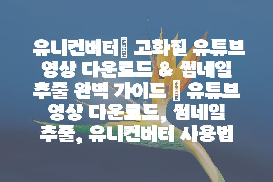 샘플 (45)