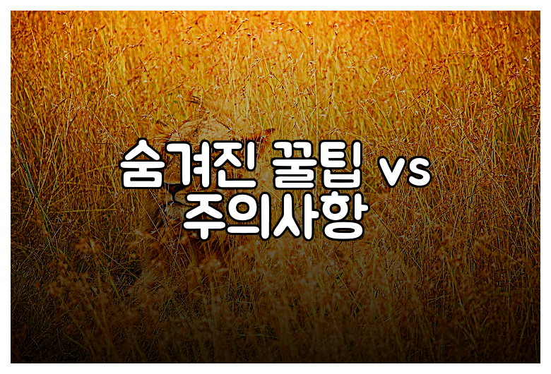 숨겨진 꿀팁 vs 주의사항