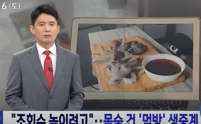재열_산낙지먹방_뉴스보도