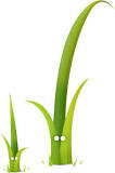  twig 템플릿 (PHP CMS: Symfony, Drupal)