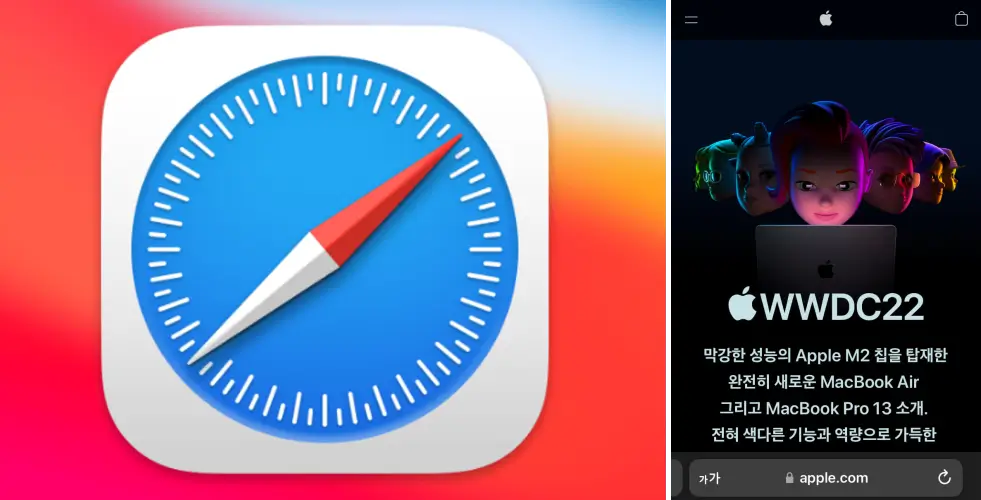 safari