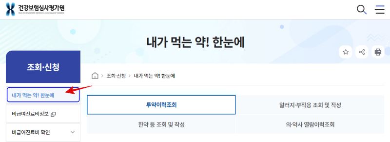  투약 이력 조회 | 내가 먹는 약 한눈에 확인 방법