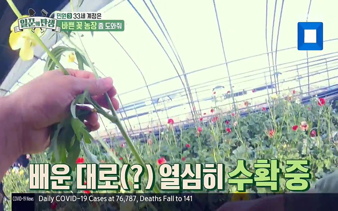 일꾼의 탄생.E21.220428p-NEXT.mp4_20220428_182343.537.jpg