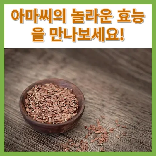 아마씨