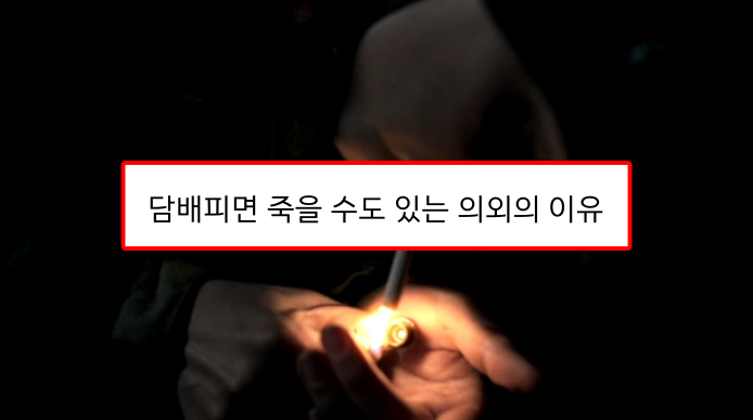  담배피면 진짜 죽을 수도 있는 의외의 이유