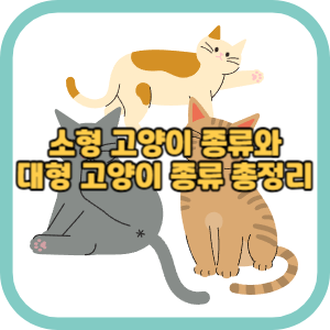 소형 고양이 종류와 대형 고양이 종류 총정리