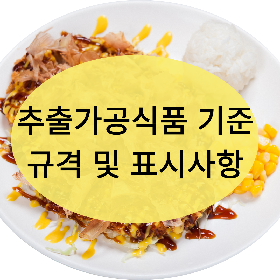  추출가공식품 기준 규격 및 표시사항 최종 정리 간략 4분 완성