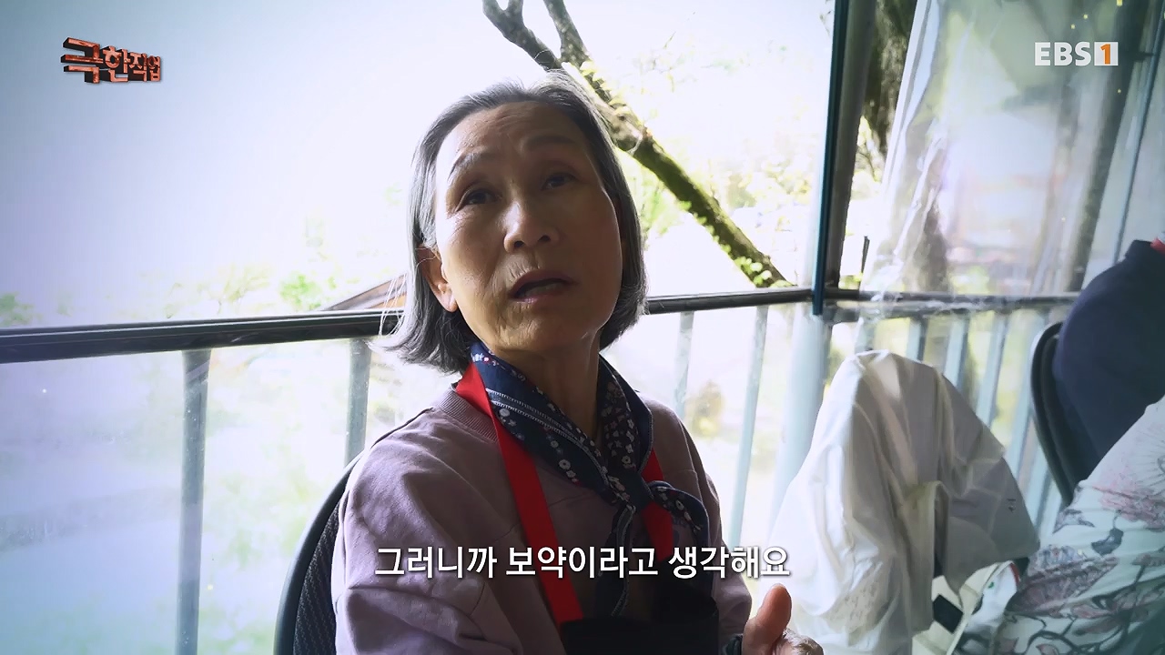 TV - 전 국민의 평생학교 EBS자연에서 얻은 보약, 상황버섯과 산나물, 쌍화차.mp4_20240615_172234.944.jpg