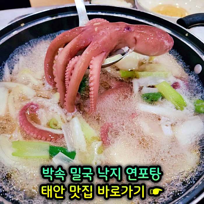  생방송 투데이 낙지 한상 박속밀국낙지탕 쓰리고 여행 충남 태안 추천 맛집 연포탕 낙지볶음 4월 21일 방송 정보