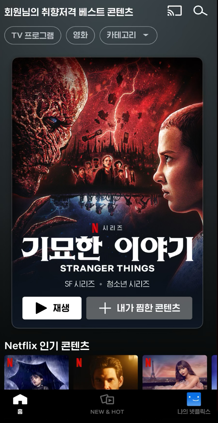 넷플릭스