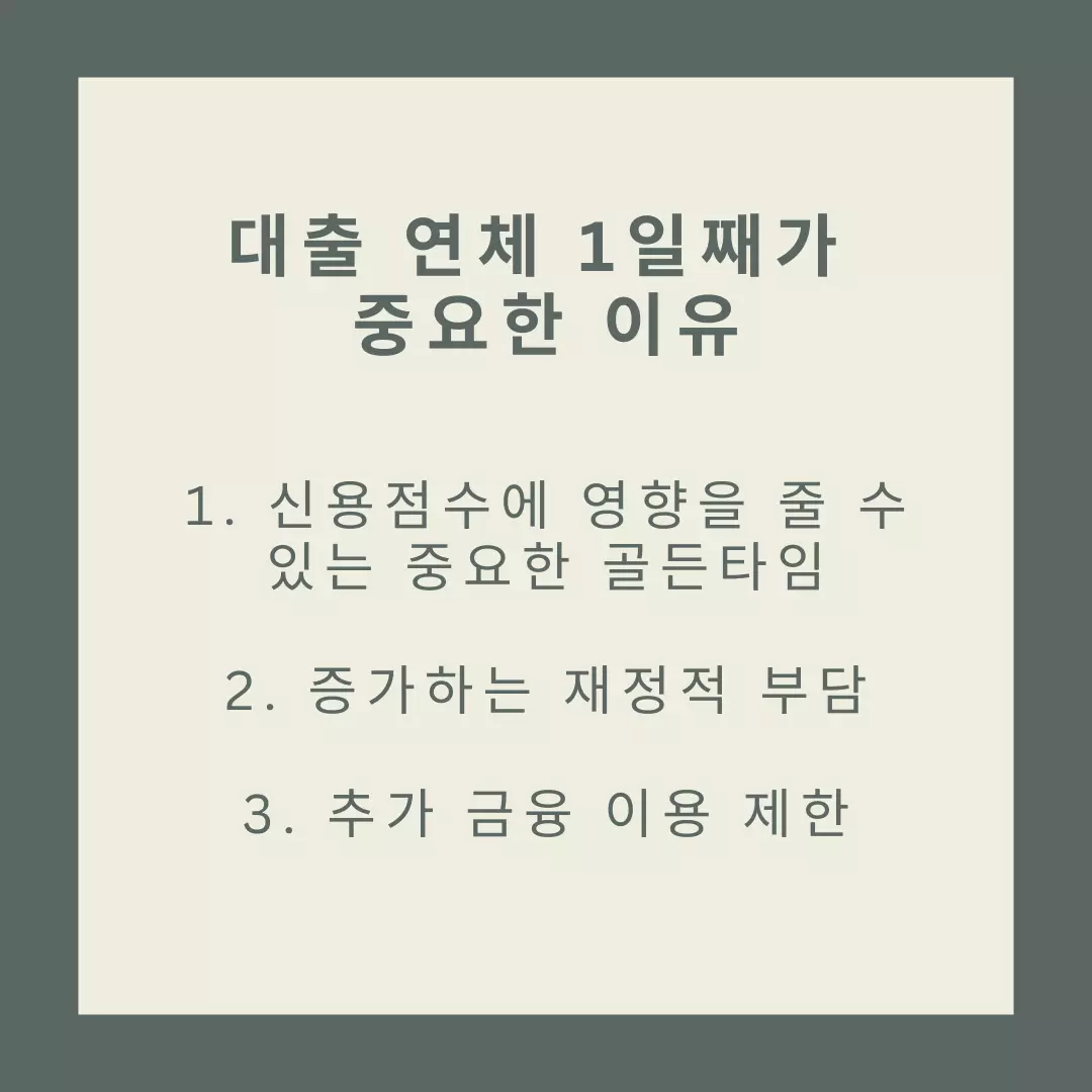 대출-연체-1인-신용도