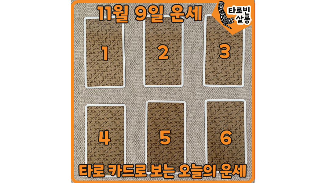  [11월 9일 운세] 타로 카드로 보는 365일 오늘의 운세
