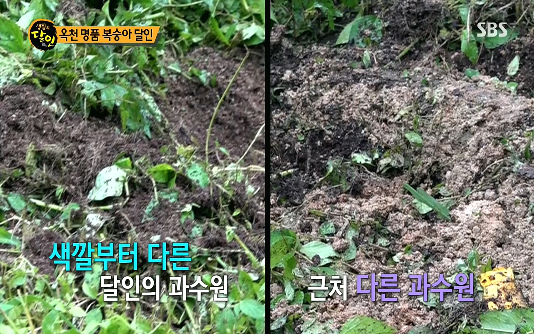 생활의 달인.E856.220815p.H264-F1RST.mp4_20220816_203422.716.jpg