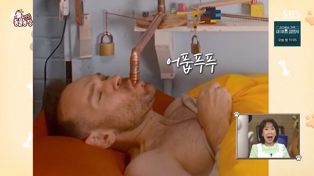 TV 동물농장.E1172.240520p-NEXT.mp4_20240519_165211.761.jpg