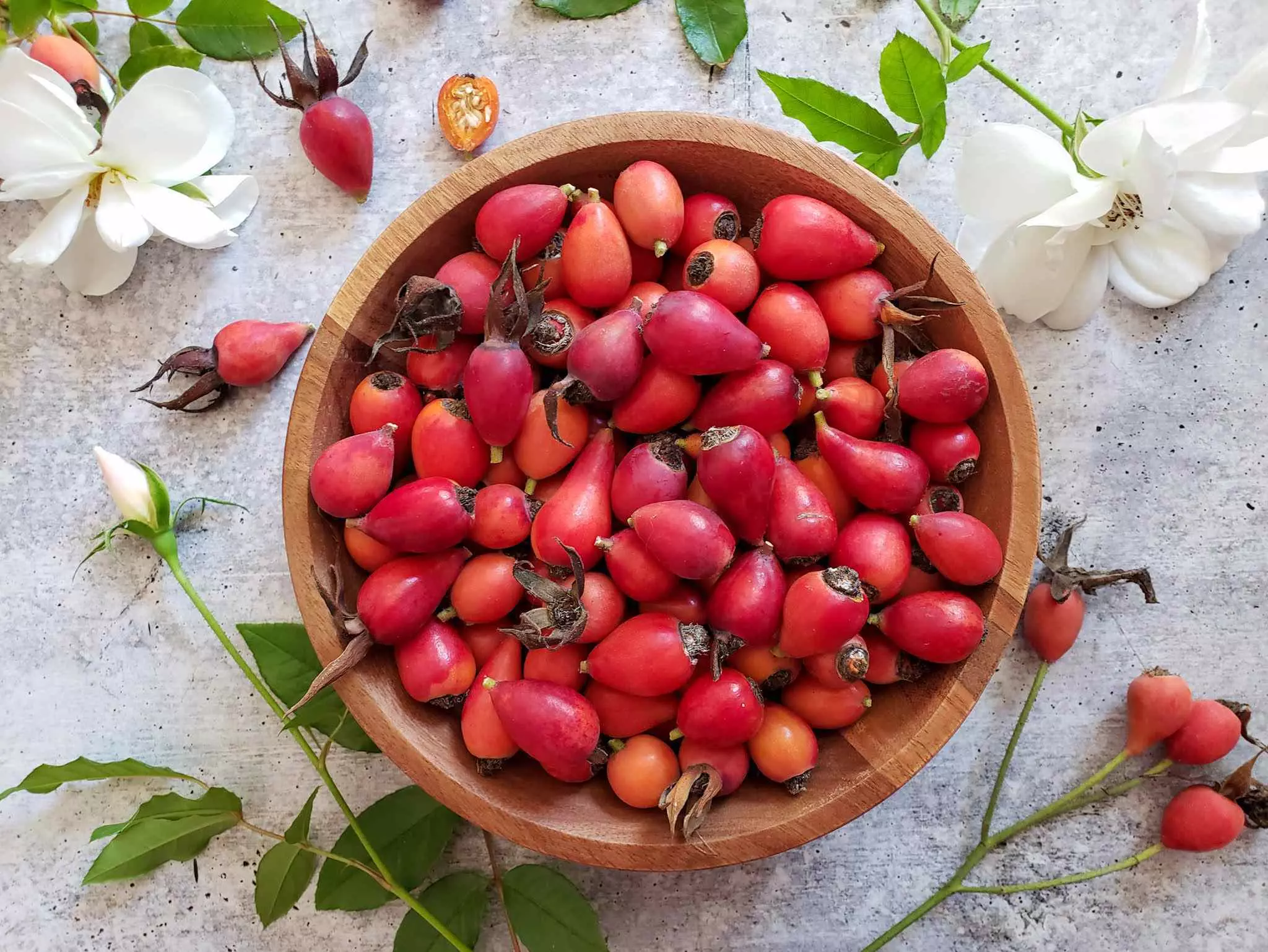  로즈힙(Rosehip)의 다양한 효능과 영양 가치!!
