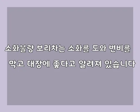 소화불량 보리차는 소화를 도와 변비를 막고 대장에 좋다고 알려져 있습니다