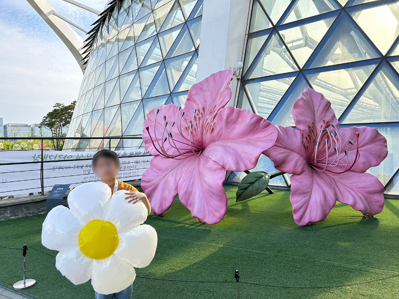서울식물원 봄나들이 봄꽃축제