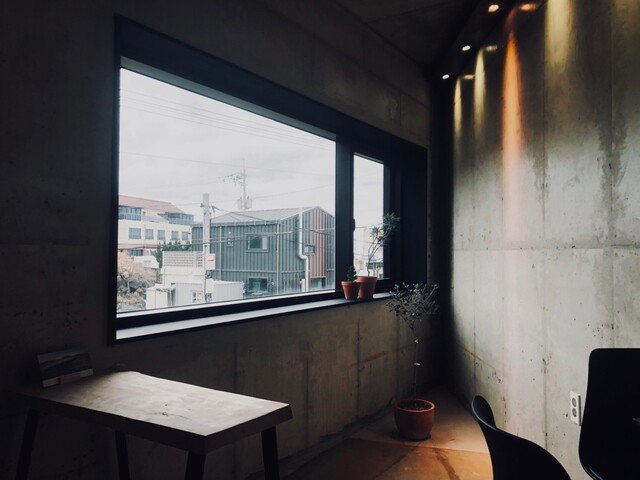 폭삭 속았수다 촬영지ㅣ제주도 카페 추천 성산포 구좌읍 협재해수욕장