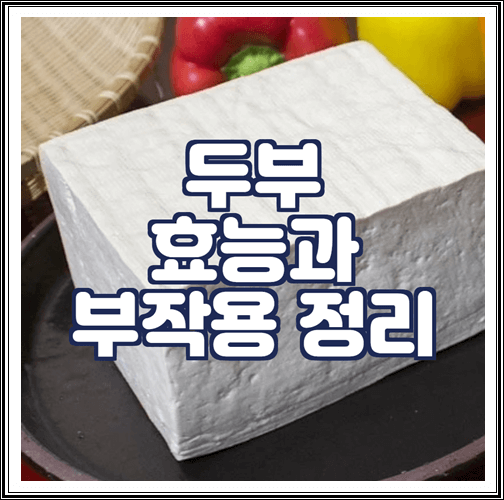  두부 효능과 부작용 정리