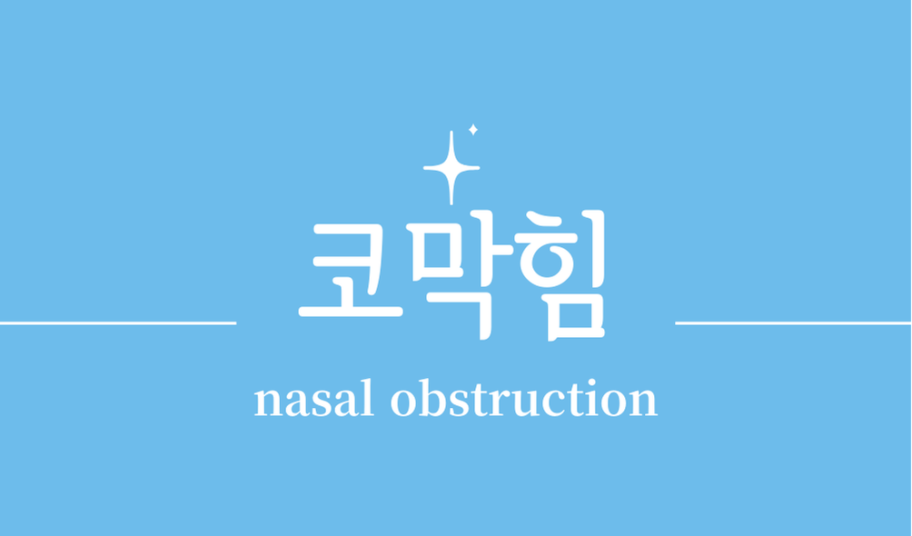 '코막힘(nasal obstruction)'