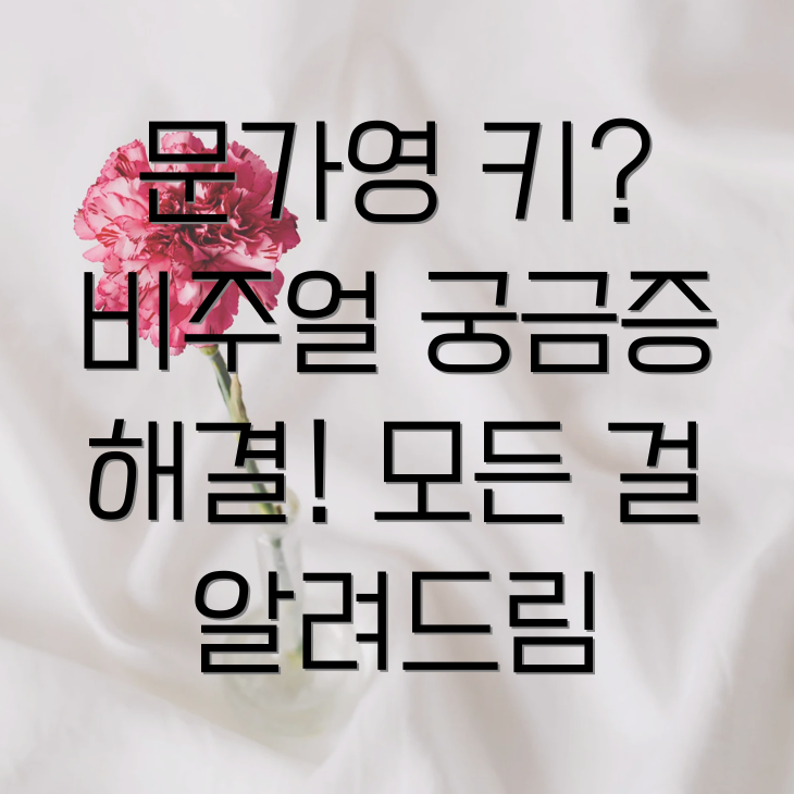 문가영 키