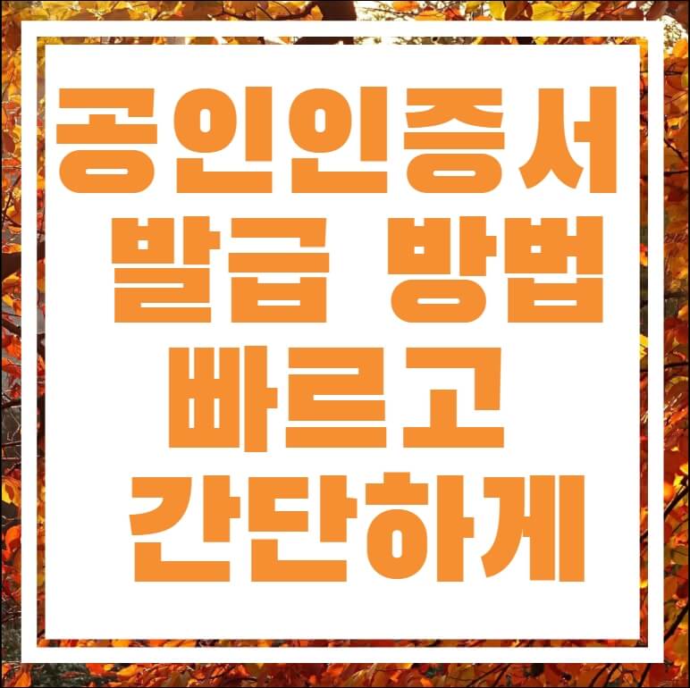 공인인증서 발급 방법(빠르고 간단하게) 공인인증서 발급 방법(빠르고 간단하게)