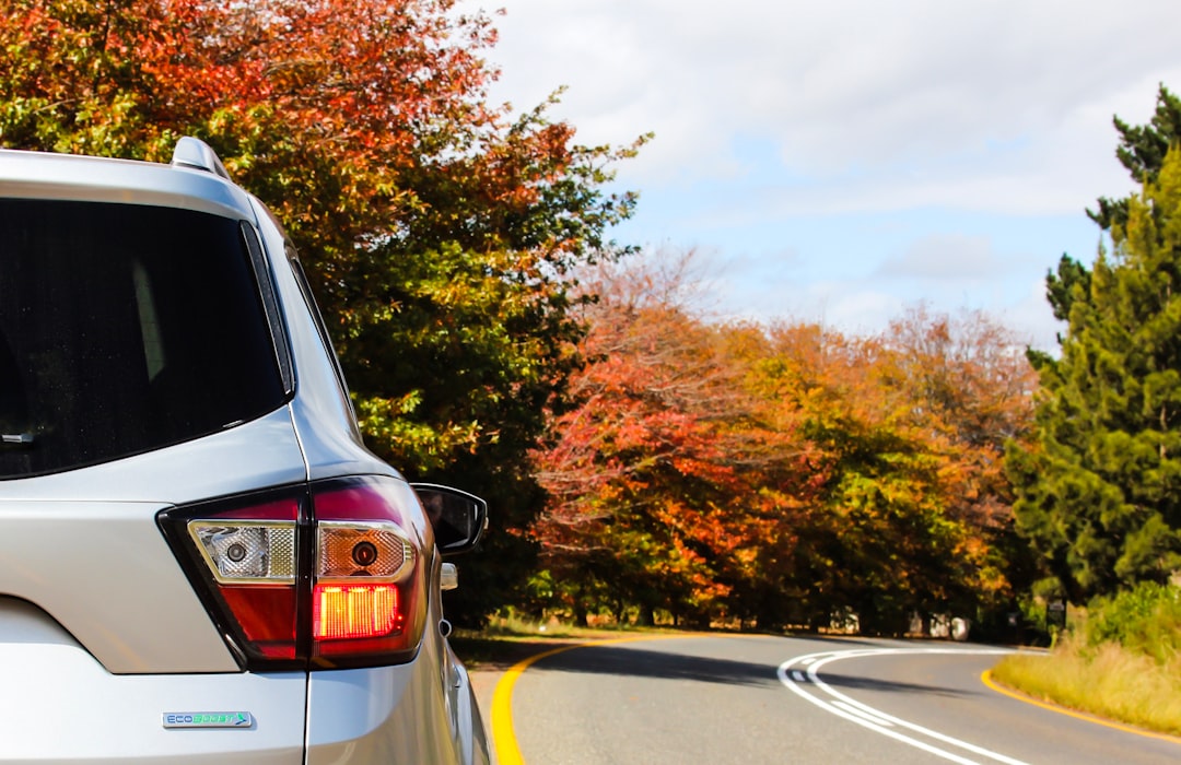 Car rental.