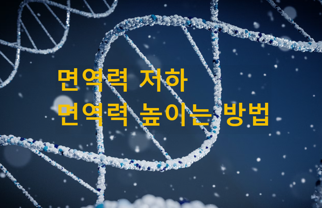  코로나 독감 유행, 면역력 저하 원인, 증상, 면역력 높이는 방법, 음식, 영양제
