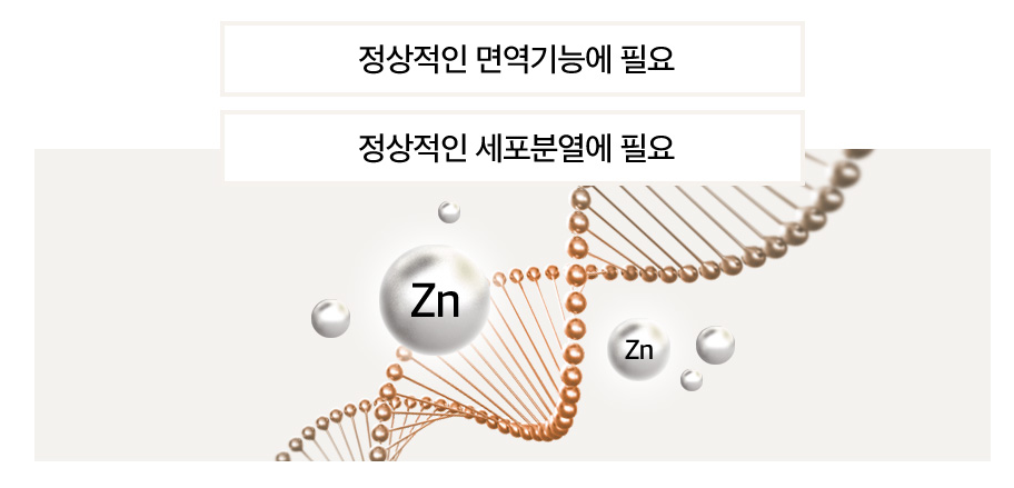 아연효능