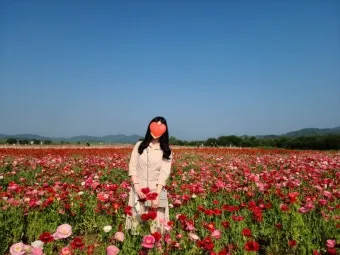 5월 경남 부산 근교 가볼만한곳 베스트10 명소_17