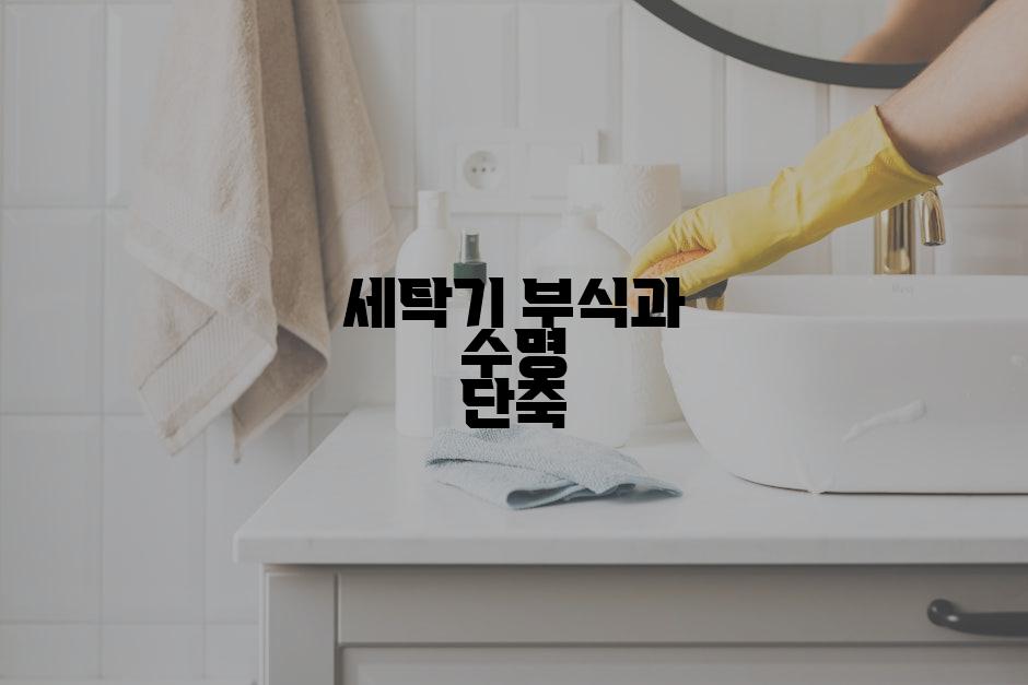 세탁기 부식과 수명 단축