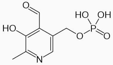 피리독살 인산염 수화물(PLP)
