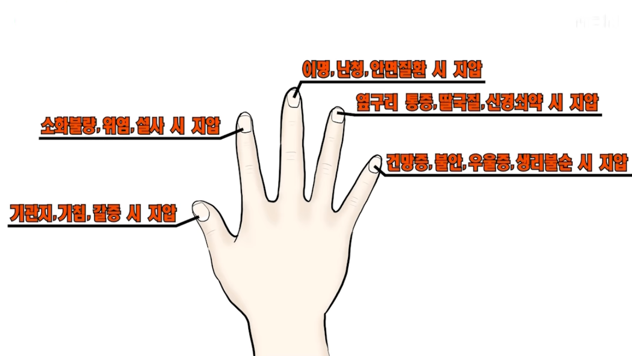  '피곤하시죠?' 하루 단 5분 누르기만 하면 면역력이 쭈욱 상승하는 지압법