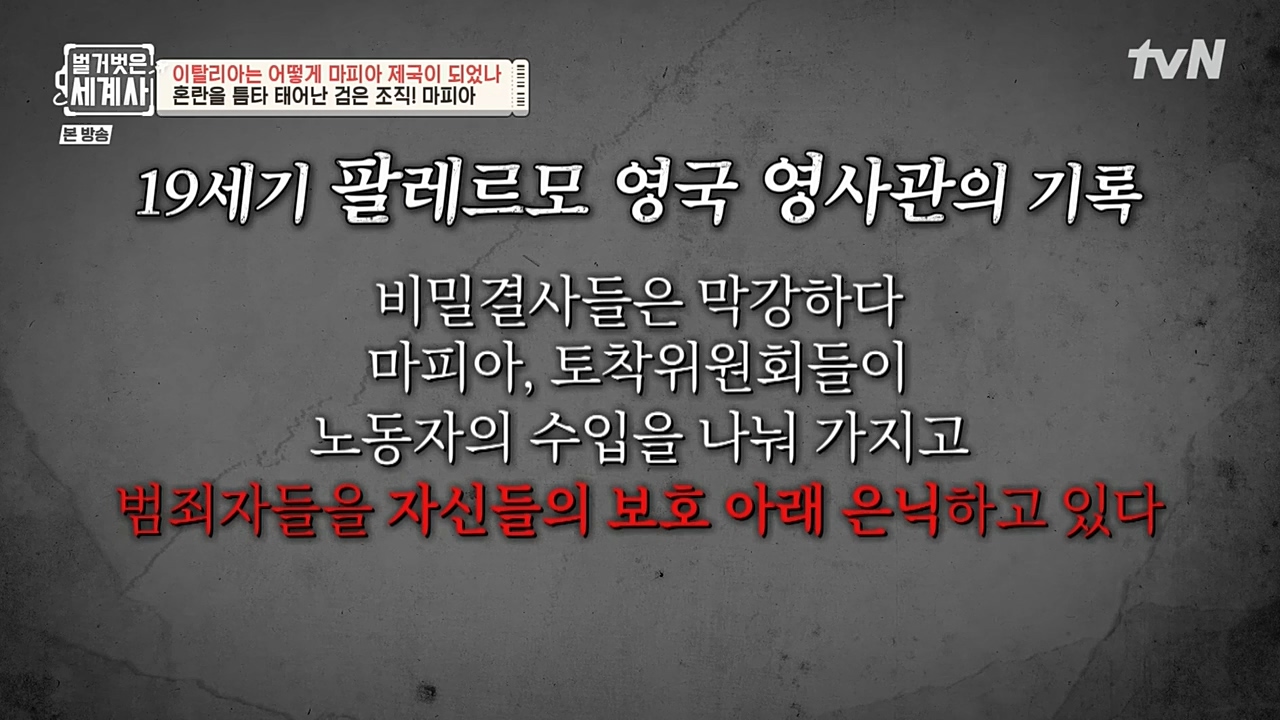 벌거벗은 세계사.E74.221123p-NEXT.mp4_20221205_203343.085.jpg