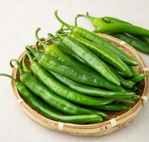 오이고추 국내산&#44; 1kg&#44; 1개