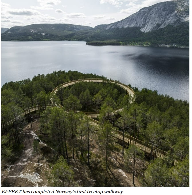  자연 애호가를 위한 산책로 VIDEO:EFFEKT creates treetop walkway that is accessible to "all nature lovers"
