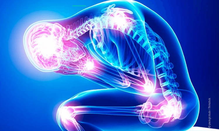  염증만 잘 관리 해도  ‘건강수명’  대폭 늘어난다 What is the difference between acute inflammation and chronic inflammation?