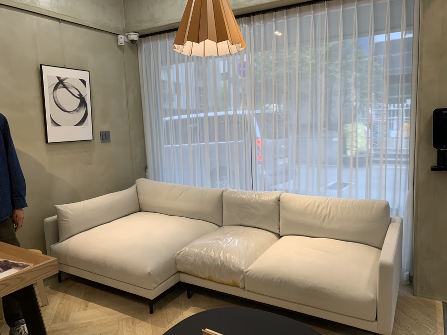 잭슨카멜레온, 플랜트란스 7