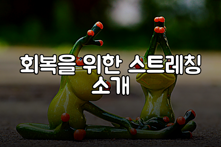 회복을 위한 스트레칭 소개