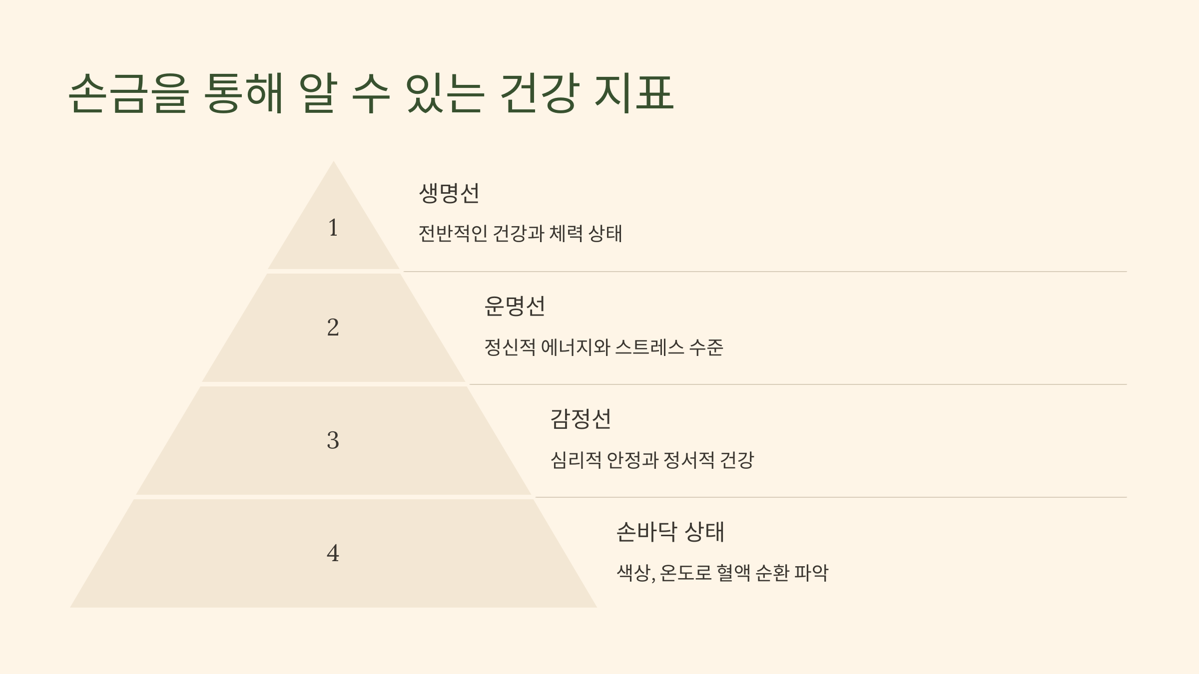 손금을 통해 알 수 있는 건강 지표