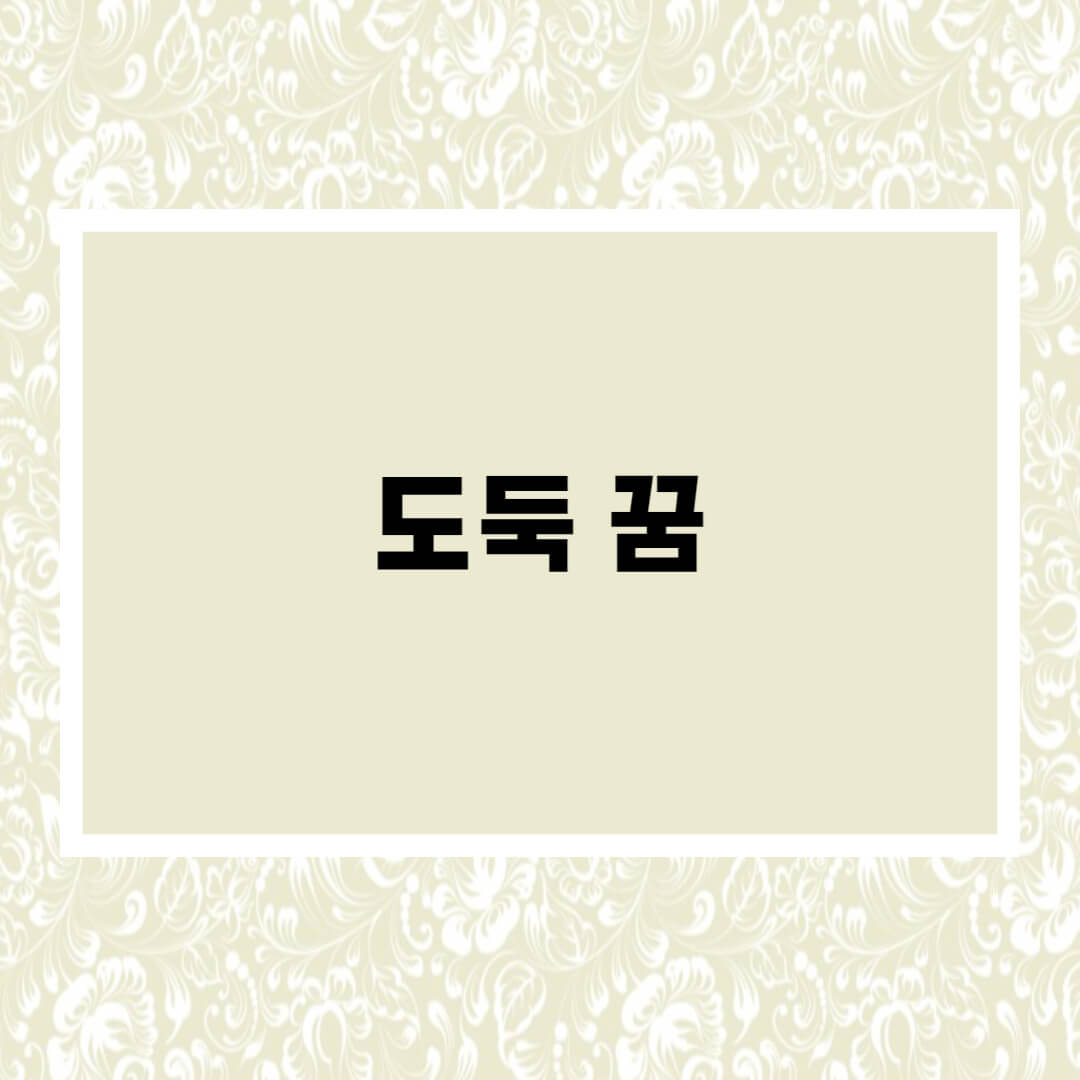  도둑 꿈해몽 총정리
