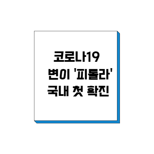  코라나19 변이'피롤라' 국내 첫 발생 , 감염여부 자가진단 가능할까?