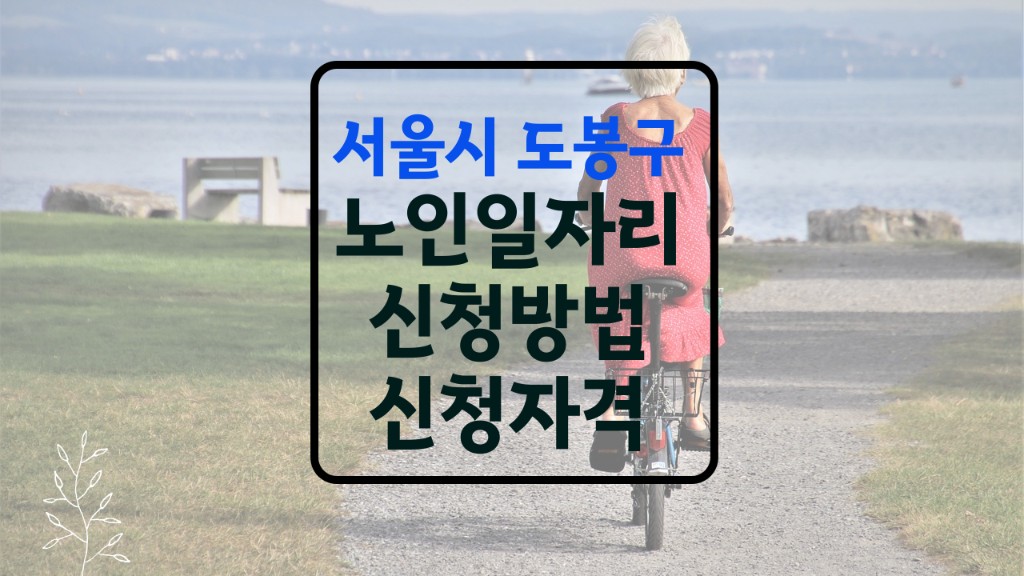 도봉구 노인일자리