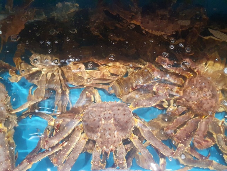 신선도원 이미지