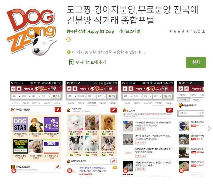  강아지 무료분양 / 유기견 유기묘 고양이
