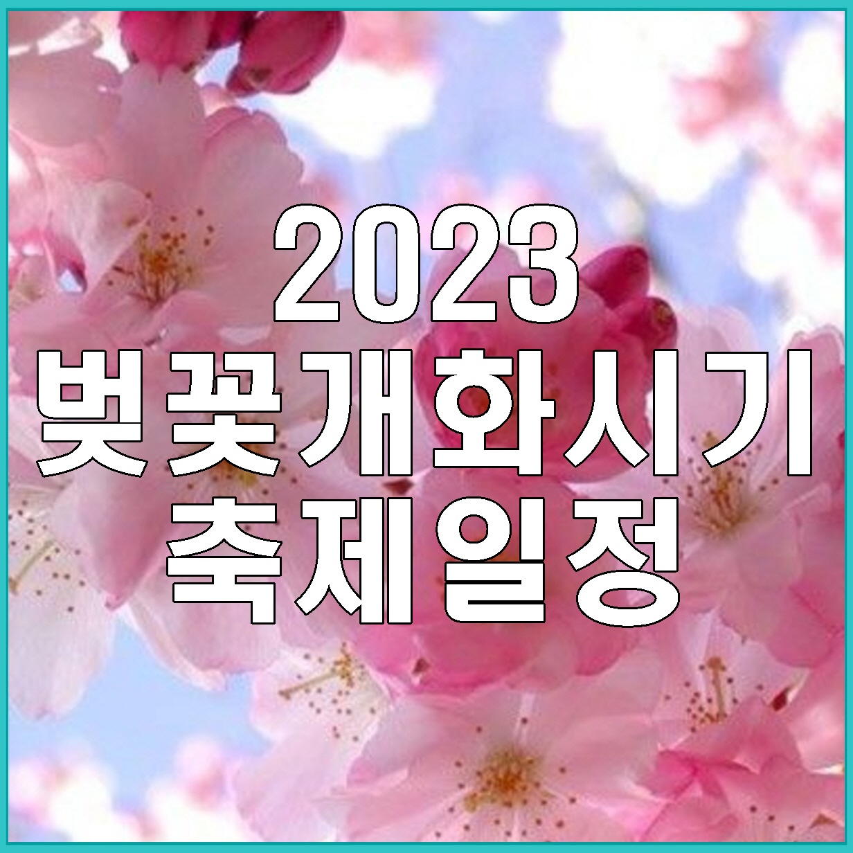 2023-벚꽃-개화시기