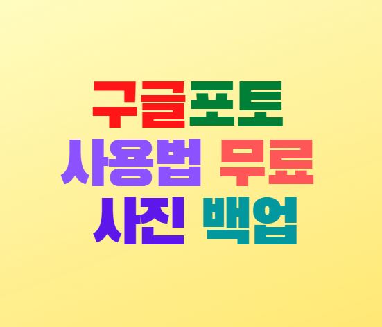  구글포토 사용법 및 무료 사진 백업하기
