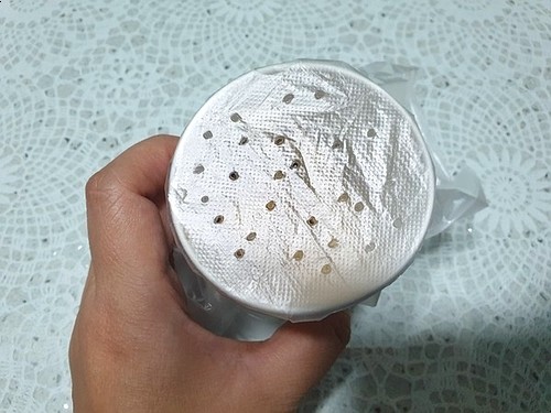  하루살이 퇴치법 미치겠네요ㅜ 알려주세요